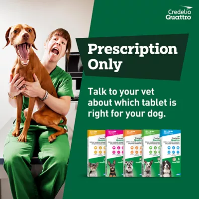 Credelio Quattro Chewable Tablets Dogs 25.1-50 lbs, 6-in-1 Parasite Protection, 1 & 6 Month Supply - Image 10