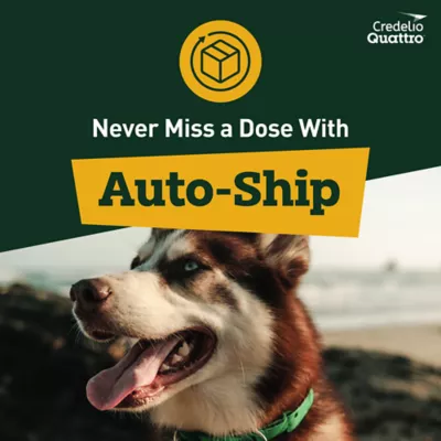 Credelio Quattro Chewable Tablets Dogs 50.1-100 lbs, 6-in-1 Parasite Protection, 1 & 6 Month Supply - Image 9