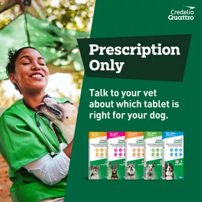 Credelio Quattro Chewable Tablets Dogs 50.1-100 lbs, 6-in-1 Parasite Protection, 1 & 6 Month Supply - Image 10