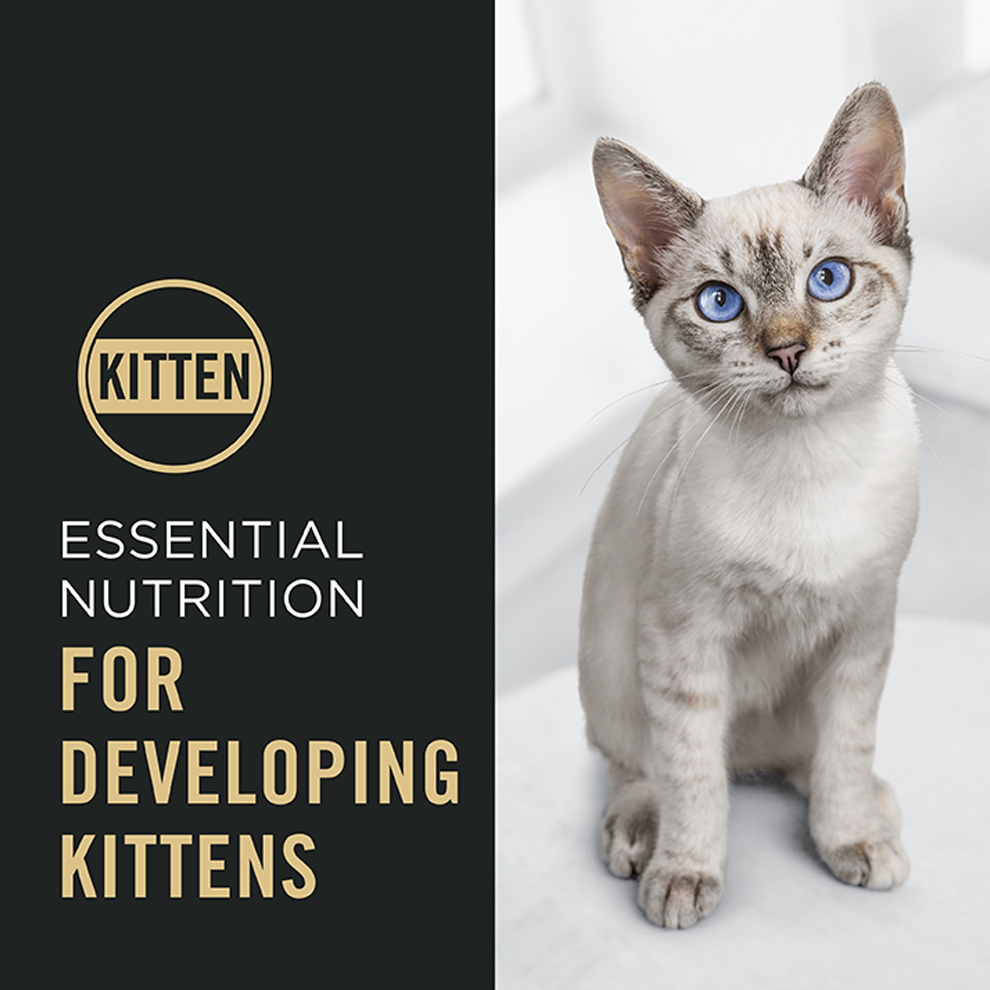 Purina Pro Plan Complete Essentials Kitten Dry Food -  Chicken & Rice - thumbnail 3