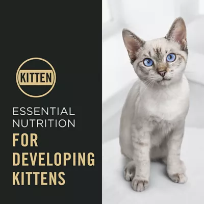 Product Purina Pro Plan Complete Essentials Chicken & Rice, Dry Kitten Food