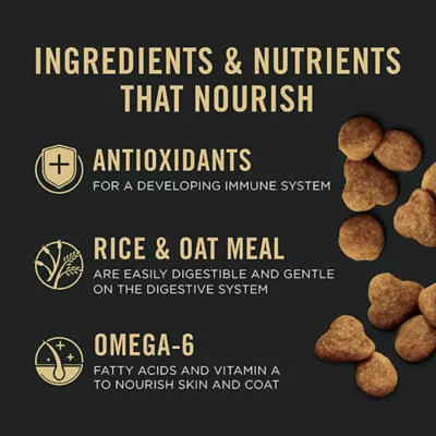 Product Purina Pro Plan Sensitive Skin and Stomach Kitten Food - Salmon