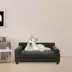  Club Nine Pets Blake Orthopedic Dog Sofa Bed image thumbnail 4