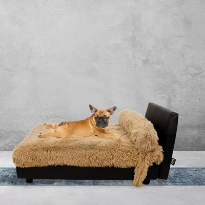 Product Club Nine Pets Lido Orthopedic Raised Dog Bed