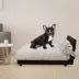 Club Nine Pets Lido Orthopedic Raised Dog Bed image thumbnail 4