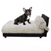 Club Nine Pets Lido Orthopedic Raised Dog Bed image thumbnail 1