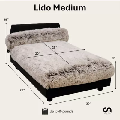 Club Nine Pets Lido Orthopedic Raised Dog Bed - Image 10