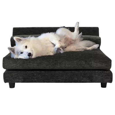 Product Club Nine Pets Roma Elevated Orthopedic Dog Bed