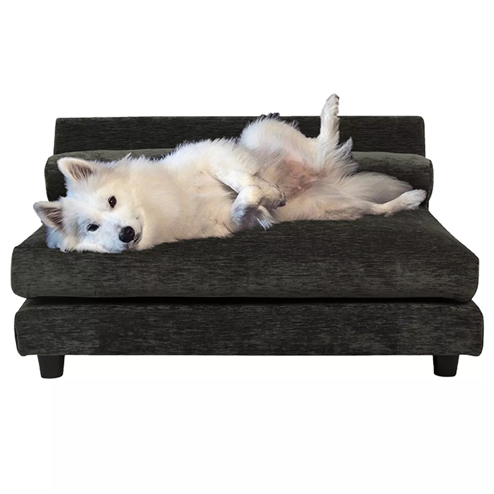 Club Nine Pets Roma Elevated Orthopedic Dog Bed