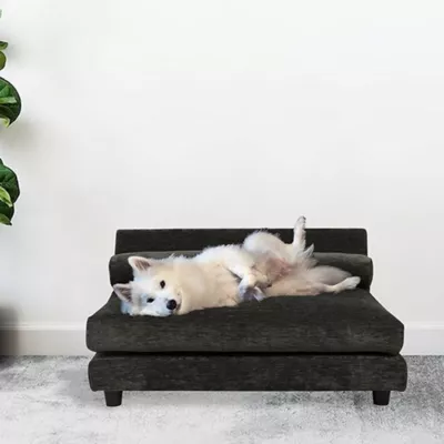 Product Club Nine Pets Roma Elevated Orthopedic Dog Bed