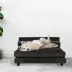 Club Nine Pets Roma Elevated Orthopedic Dog Bed image thumbnail 4