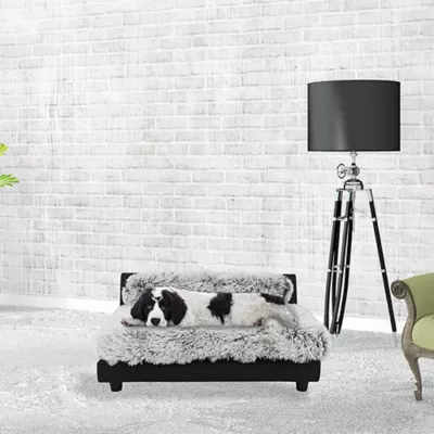 Product Club Nine Pets Roma Elevated Orthopedic Dog Bed