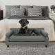 Product  Club Nine Pets Blake Orthopedic Dog Sofa Bed