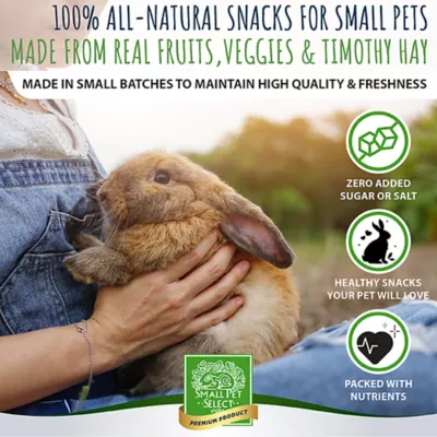 Product Small Pet Select Healthy Snackers Small Pet Treats 4 oz