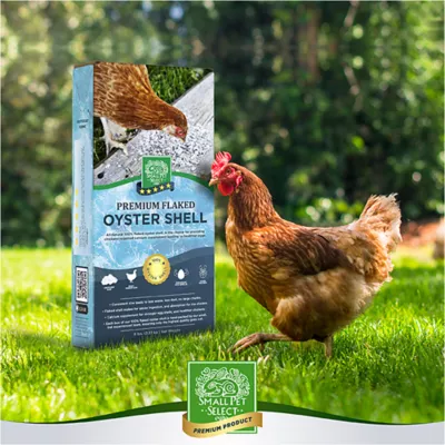 Product Small Pet Select Flaked Oyster and Seashell Mix