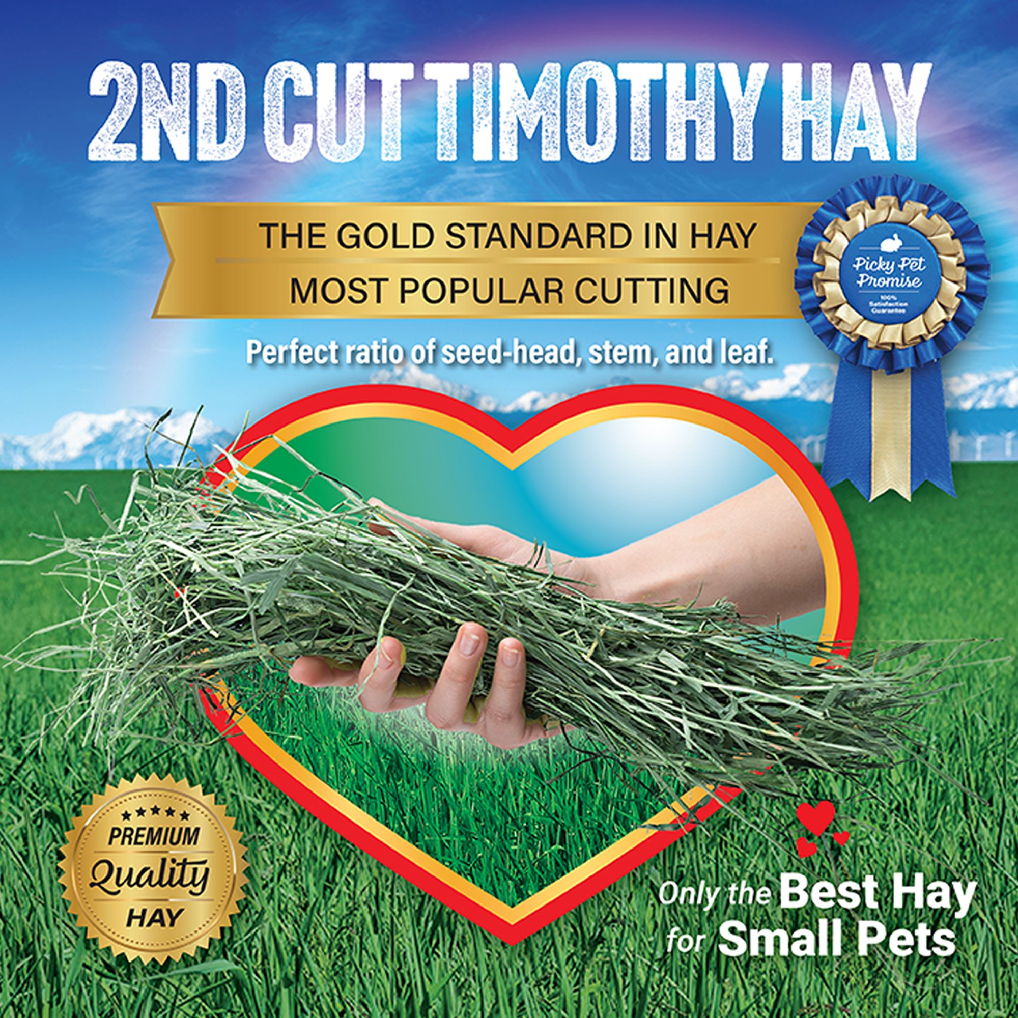 Small Pet Select 2nd Cutting Perfect Blend Timoithy Hay - Rabbit & Guinea Pig Food - thumbnail 5