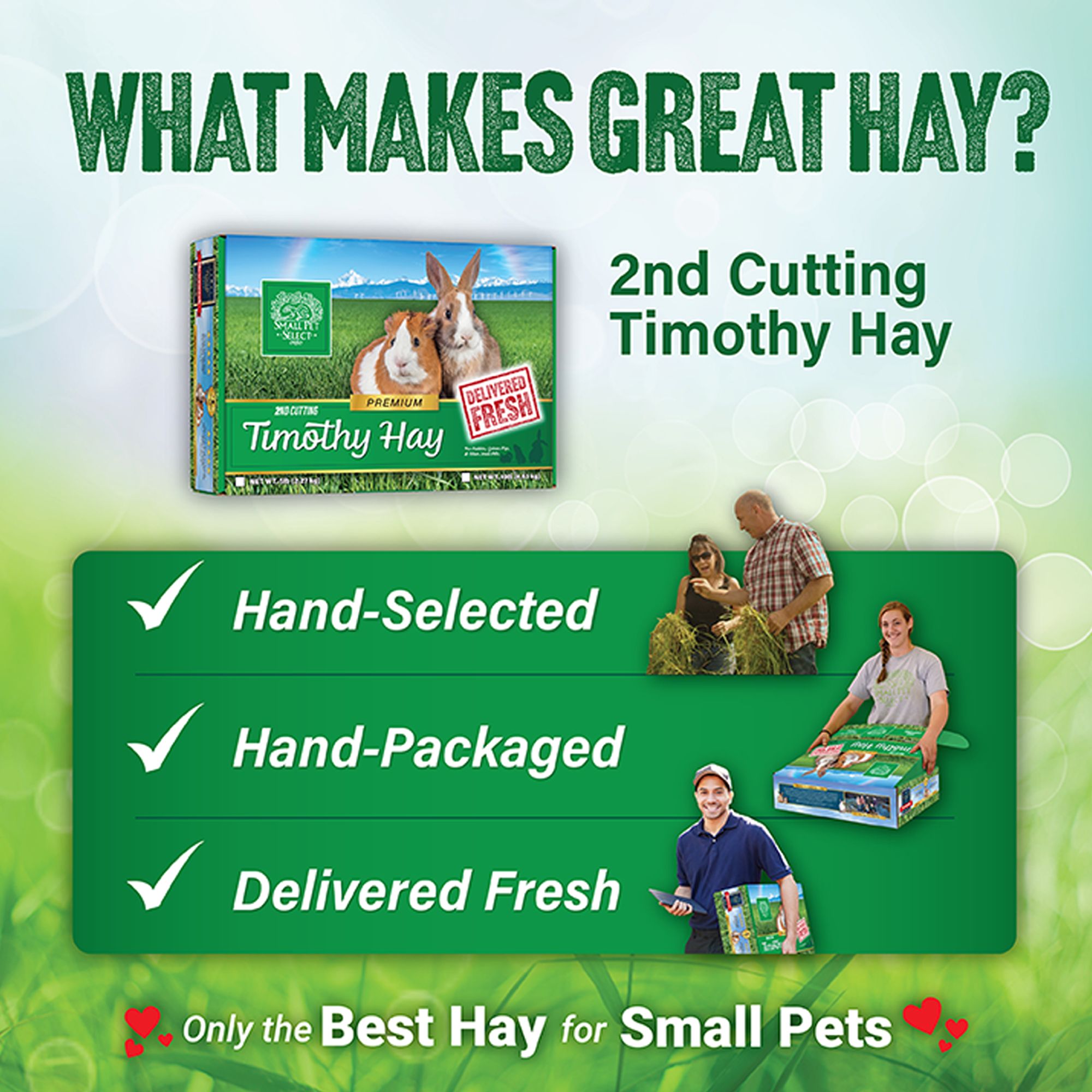 Small Pet Select 2nd Cutting Perfect Blend Timoithy Hay - Rabbit & Guinea Pig Food - thumbnail 6