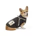 Arcadia Trail® Step-In Harness Coat image thumbnail 2