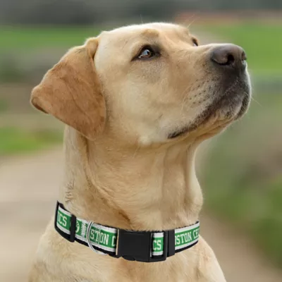Pets First NBA Boston Celtics Satin Dog Collar - Image 4