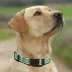 Pets First NBA Boston Celtics Satin Dog Collar image thumbnail 4