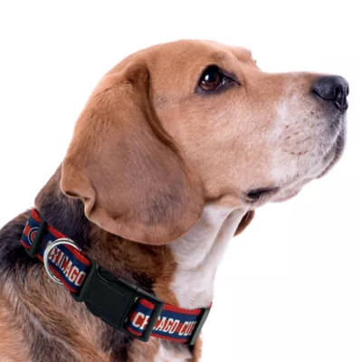 Pets First Chicago Bears Satin Dog Collar - Image 3