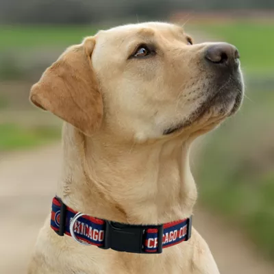 Pets First Chicago Bears Satin Dog Collar - Image 4