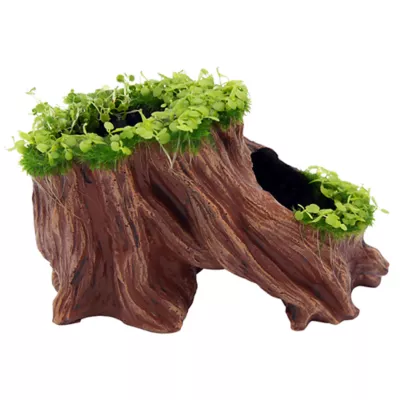 Product Aqua-Flora ™ Living Root