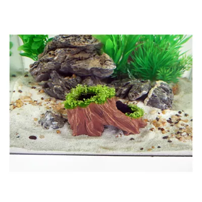 Product Aqua-Flora ™ Living Root