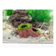 Product Aqua-Flora ™ Living Root