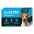 Capstar™ Fast-Acting Oral Flea Treatment for Dogs 2-25 lbs image thumbnail 1