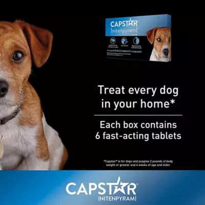 Product Capstar™ 2-25 Lb Dog Flea Treatment