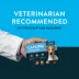 Capstar™ Fast-Acting Oral Flea Treatment for Dogs 2-25 lbs image thumbnail 6