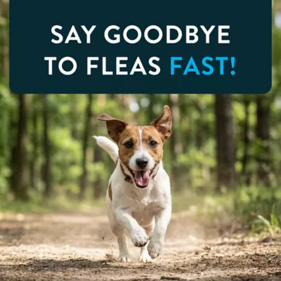 Capstar™ Fast-Acting Oral Flea Treatment for Dogs 2-25 lbs - Image 8