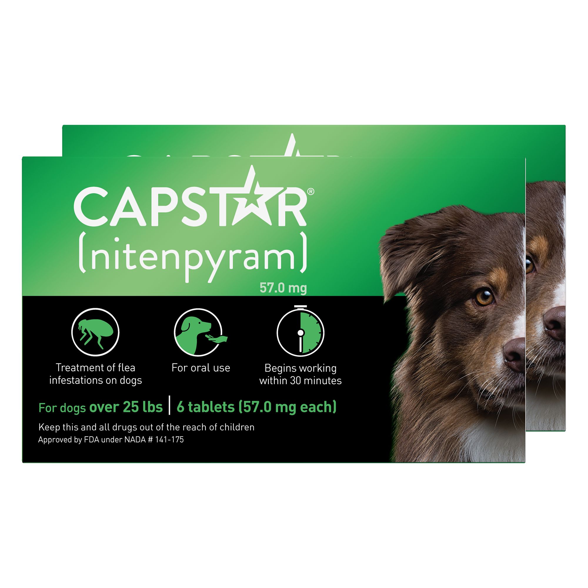 Capstar™ Over 25 lbs Dog Flea Treatment - Main Image