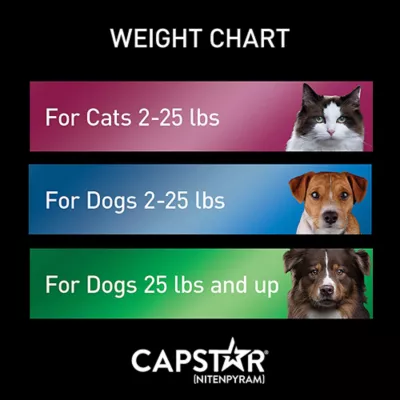 Product Capstar™ Over 25 lbs Dog Flea Treatment