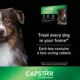 Product Capstar™ Over 25 lbs Dog Flea Treatment