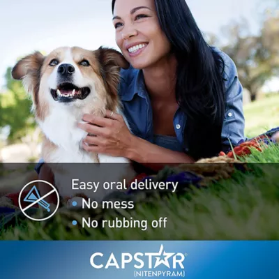 Product Capstar™ Over 25 lbs Dog Flea Treatment