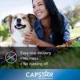 Product Capstar™ Over 25 lbs Dog Flea Treatment