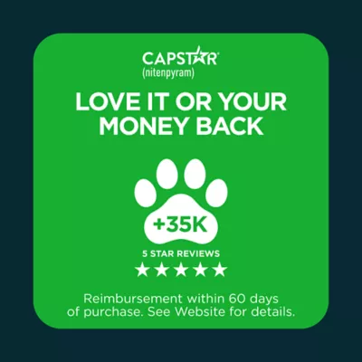 Capstar™ Fast-Acting Oral Flea Treatment for Dogs over 25 lbs - Image 7