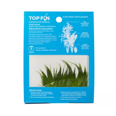 Top Fin® T.C. Miniature Dwarf Hairgrass Live Plant - Image 3