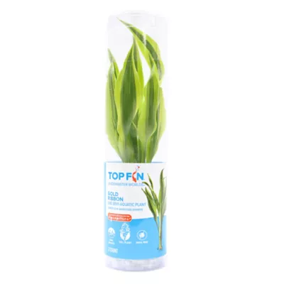 Product Top Fin® Gold Ribbon Live Plant