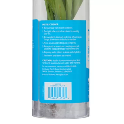 Product Top Fin® Gold Ribbon Live Plant