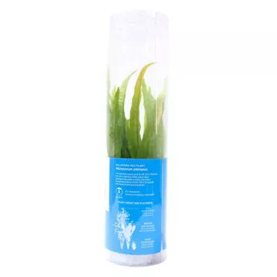 Product Top Fin® Malaysian Red Live Plant
