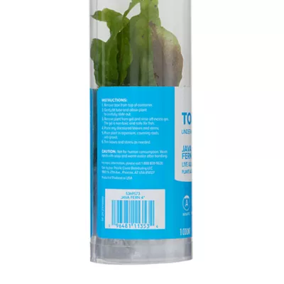 Product Top Fin® Java Fern Live Aquatic Plant