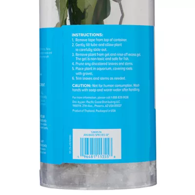 Product Top Fin® Anubias Live Plant