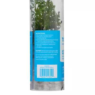 Product Top Fin® African Water Fern Live Plant