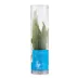 Top Fin® Java Fern Live Plant image thumbnail 4