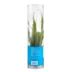 Top Fin® Java Fern Live Plant image thumbnail 5
