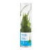 Top Fin® Bolbitis Long Tail Live Aquatic Plant image thumbnail 3