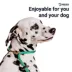 Mad Dog Products Dual Purpose Slip/Clip Dog Leash image thumbnail 2